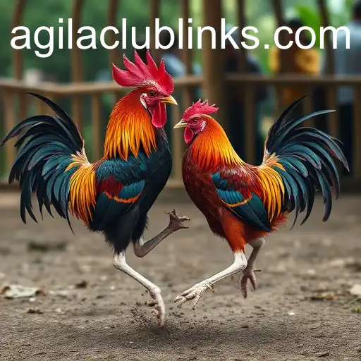 The World of Sabong Games: A Closer Look at AgilaClub